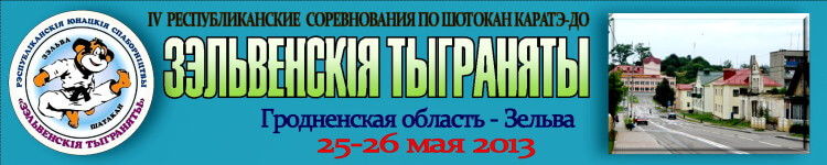 Зельва-2013 Баннер''