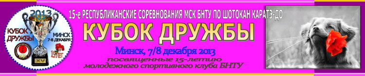 Кубок Дружбы-2013 Баннер