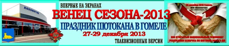 Гомель-2013 Телеверсии Баннер
