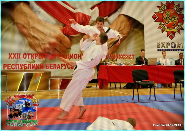 НЧРБ-2013 Постер-2