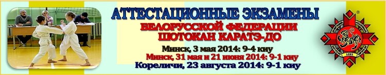 Аттестация БФШК 2014 05-08 Баннер