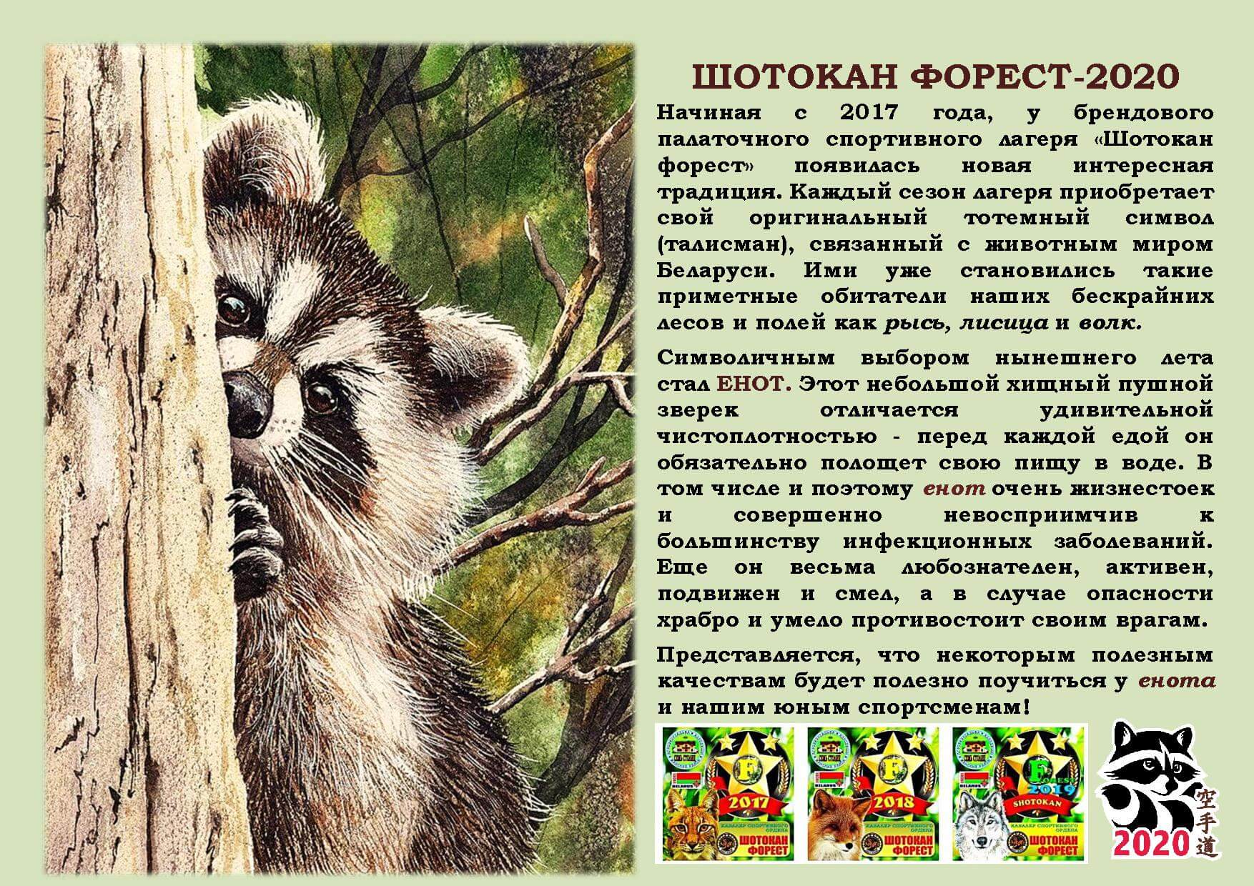 Palatochnyj Lager Shotokan Forest 2020 Akademiya Karate